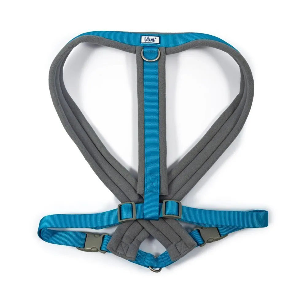 Ancol Viva X-Large Blue Padded Dog Harness