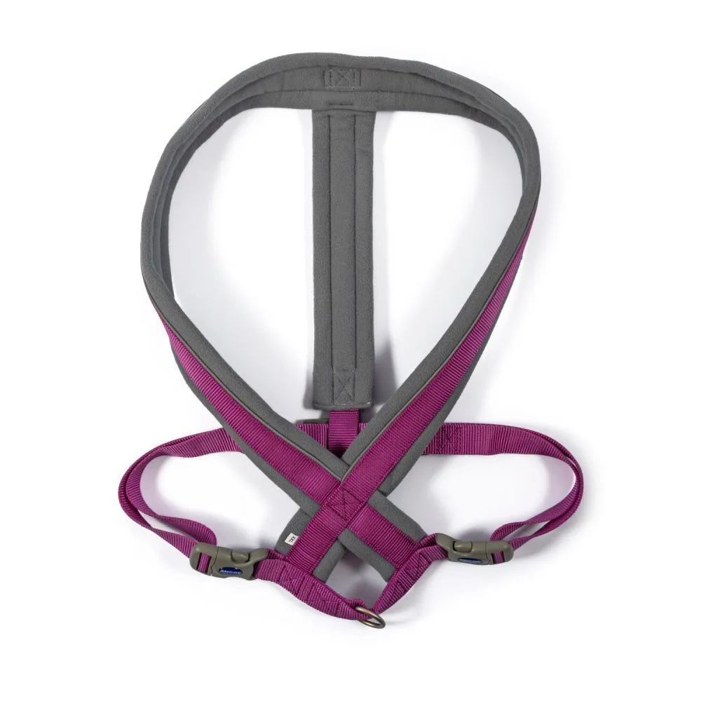 Ancol Viva X-Large Purple Padded Dog Harness