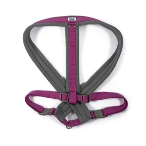 Ancol Viva X-Large Purple Padded Dog Harness