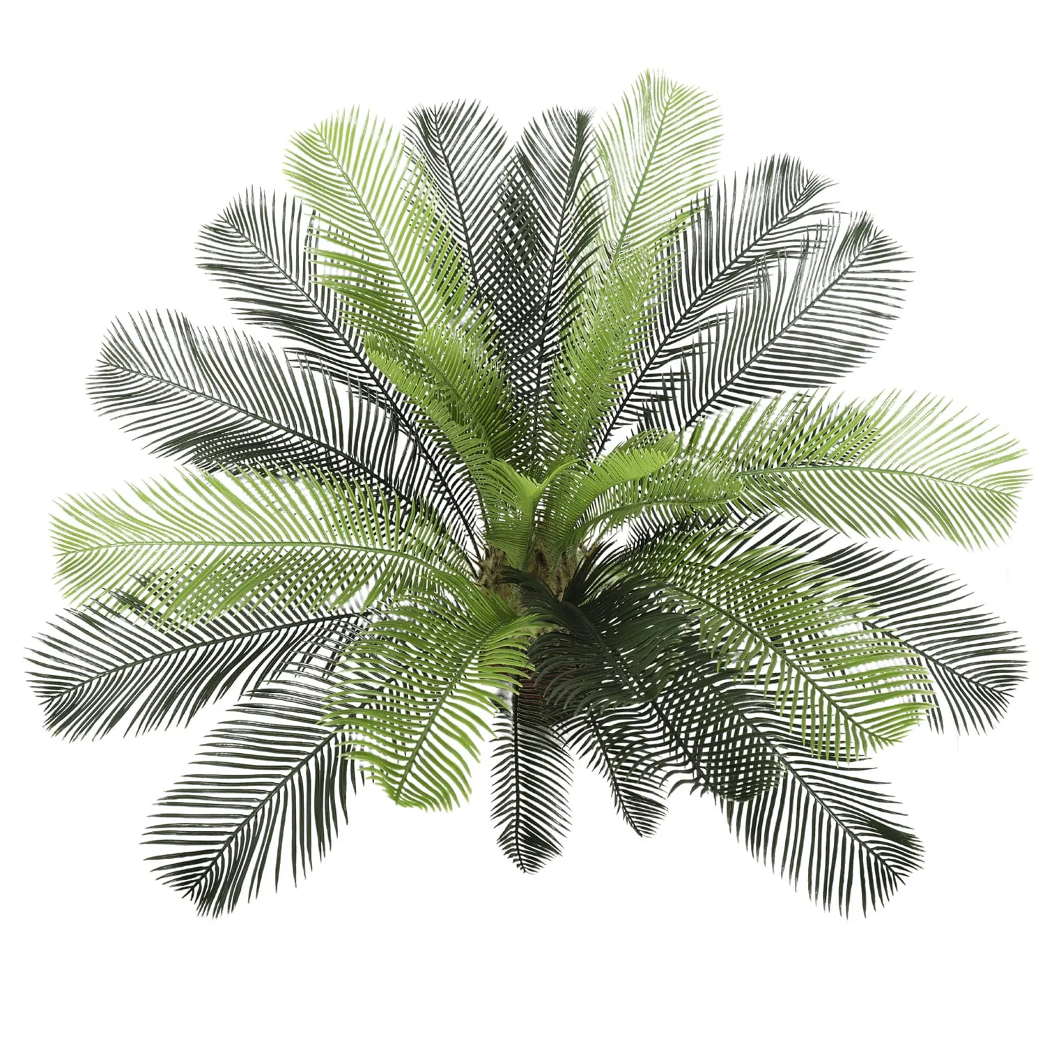 Artificial Cycas / Cycad Palm Tree 105cm UV Resistant