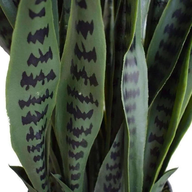 Artificial Snake Plant Sansevieria UV Resistant 60cm