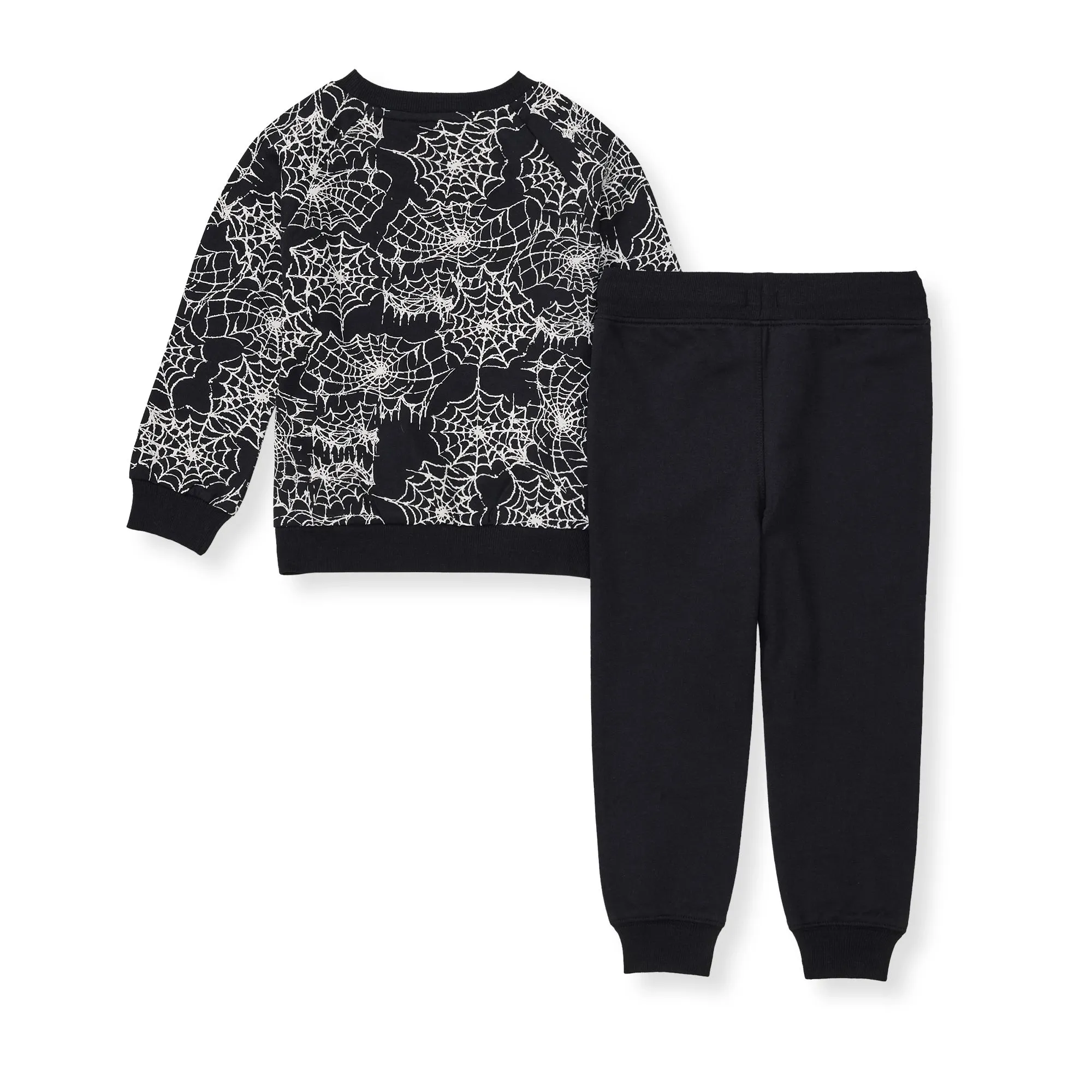 Burt's Bees Organic Baby Boy Spiderwebs Shirt and Pant Set