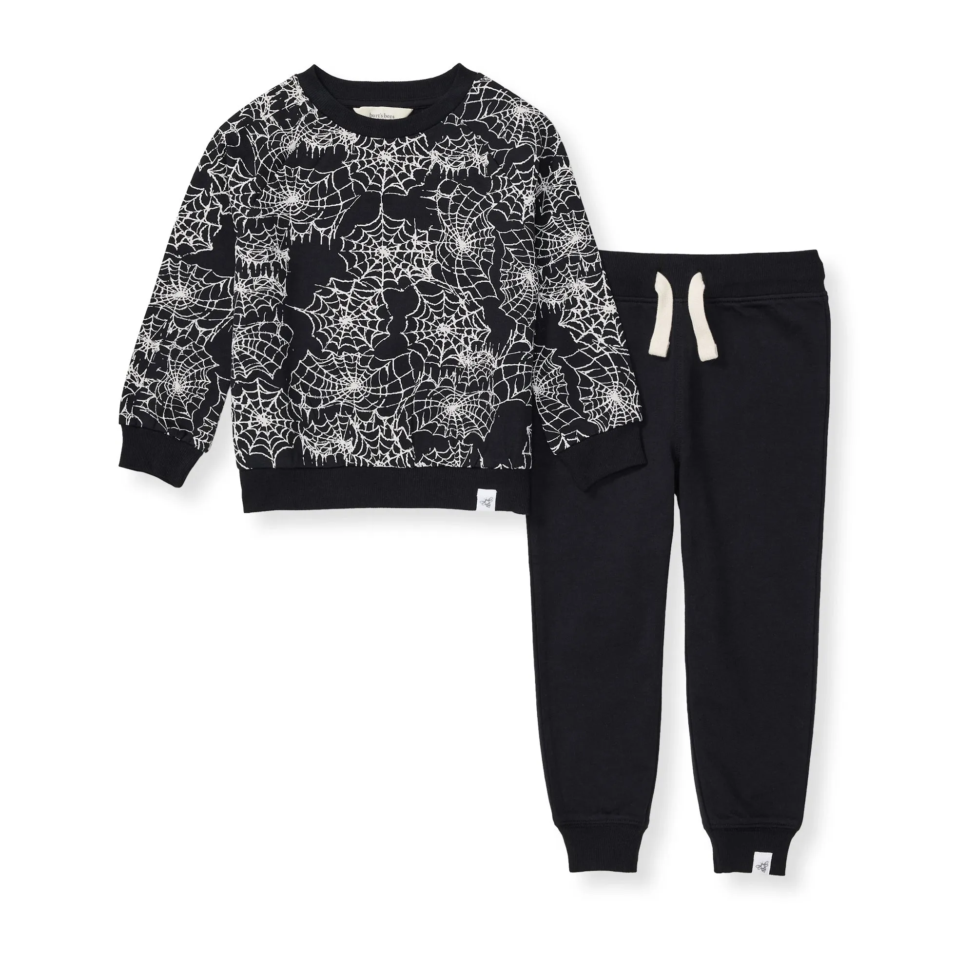 Burt's Bees Organic Baby Boy Spiderwebs Shirt and Pant Set