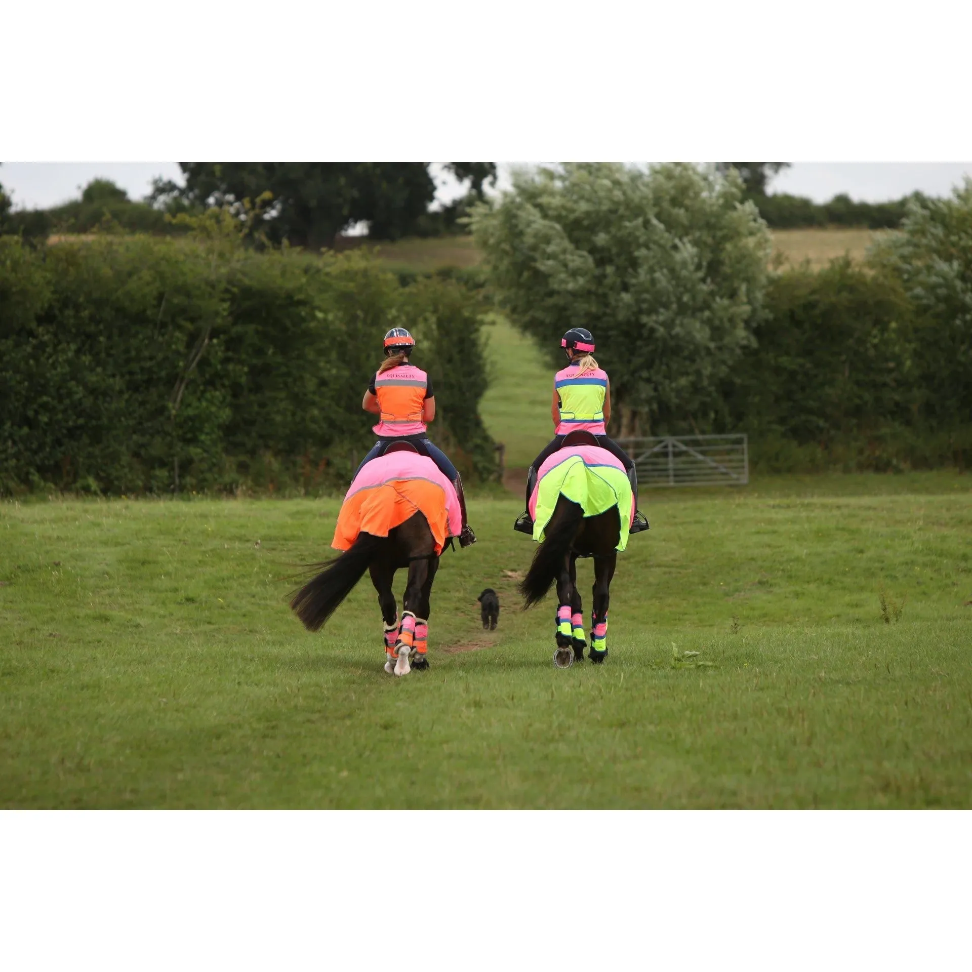 Equisafety Multi Colour Hi Vis Waistcoat  - Pink/orange