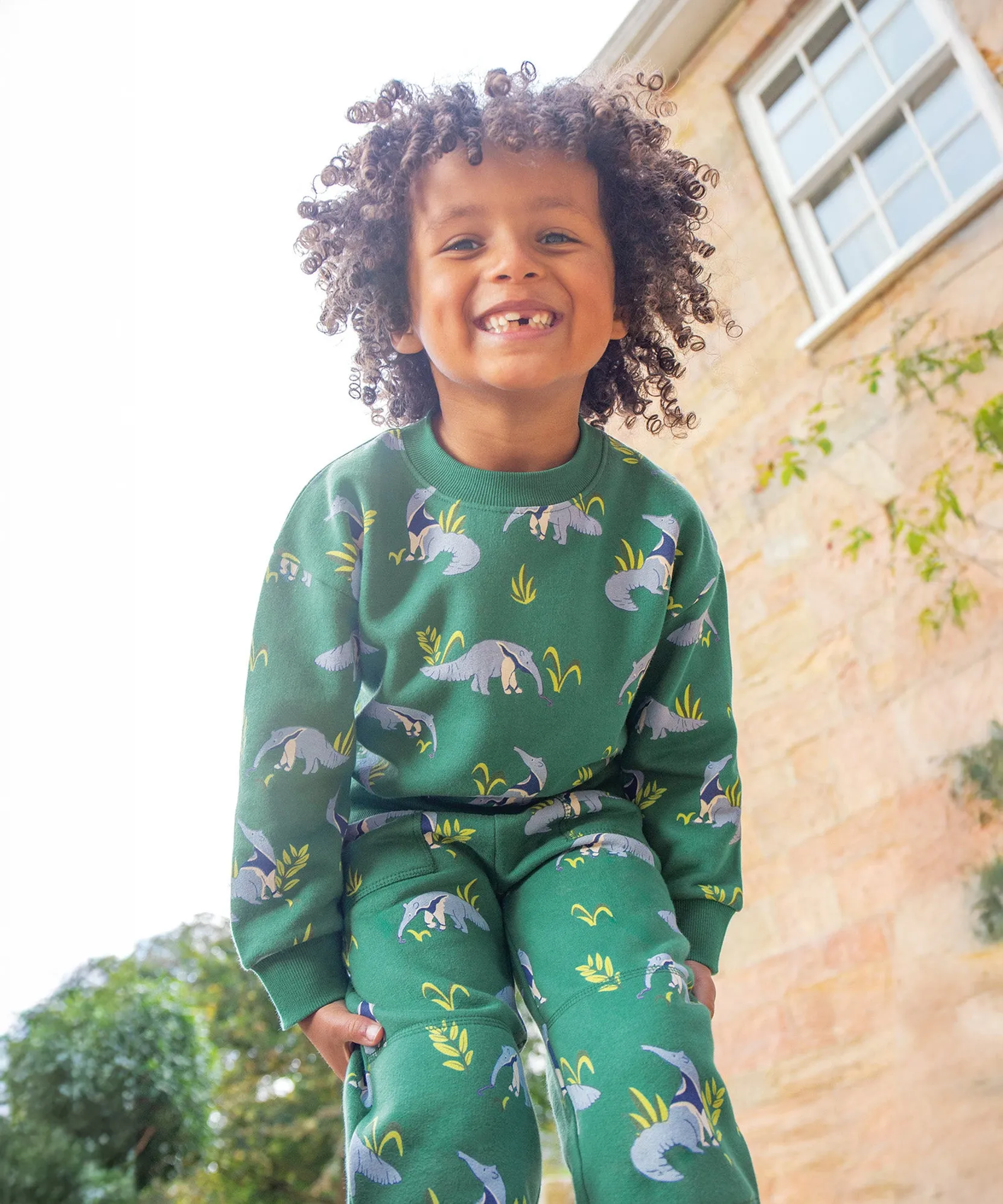 Frugi Superb Sweatshirt - Anteater Parade