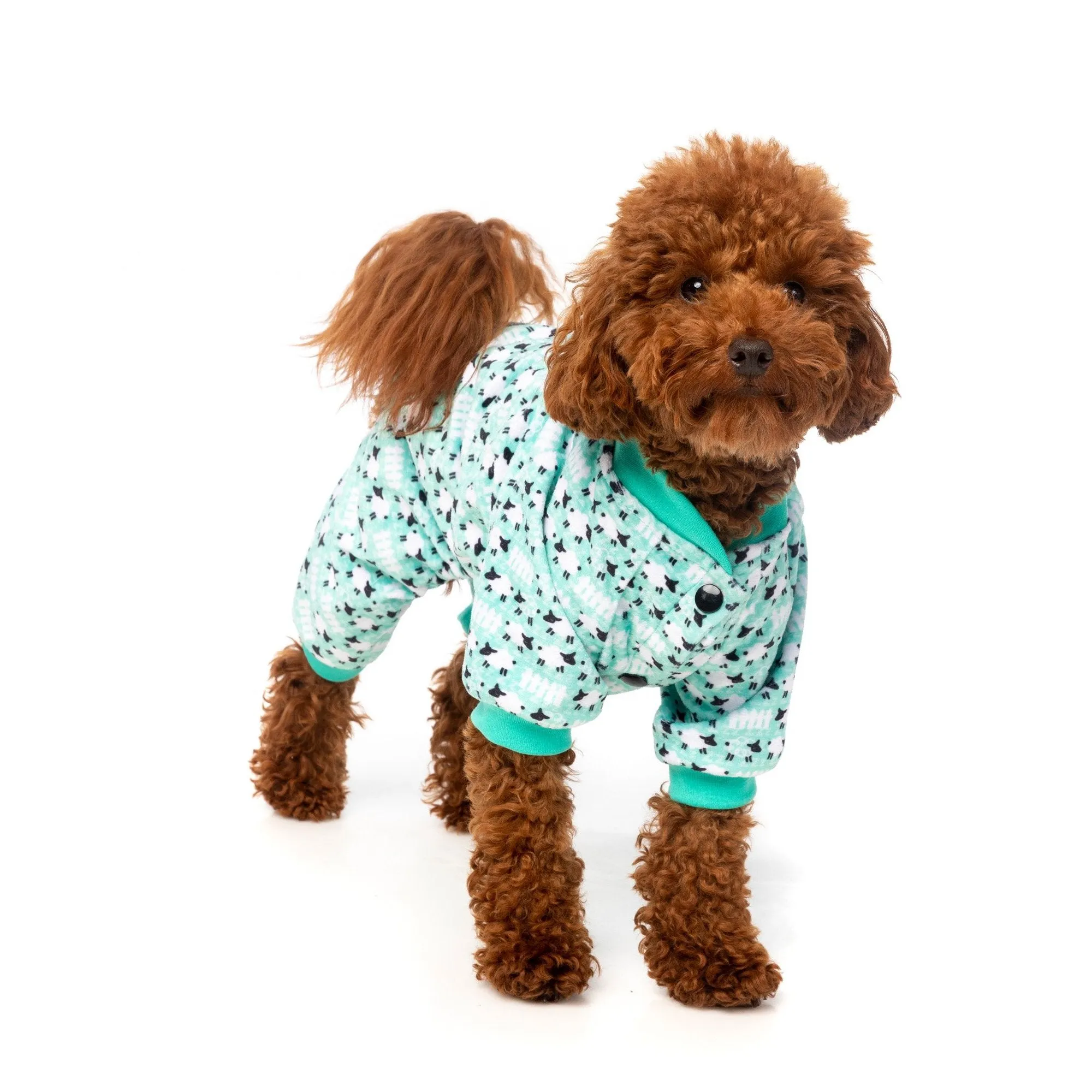 FuzzYard Apparel Counting Sheep Dog Pyjamas Green Size 5 Large***