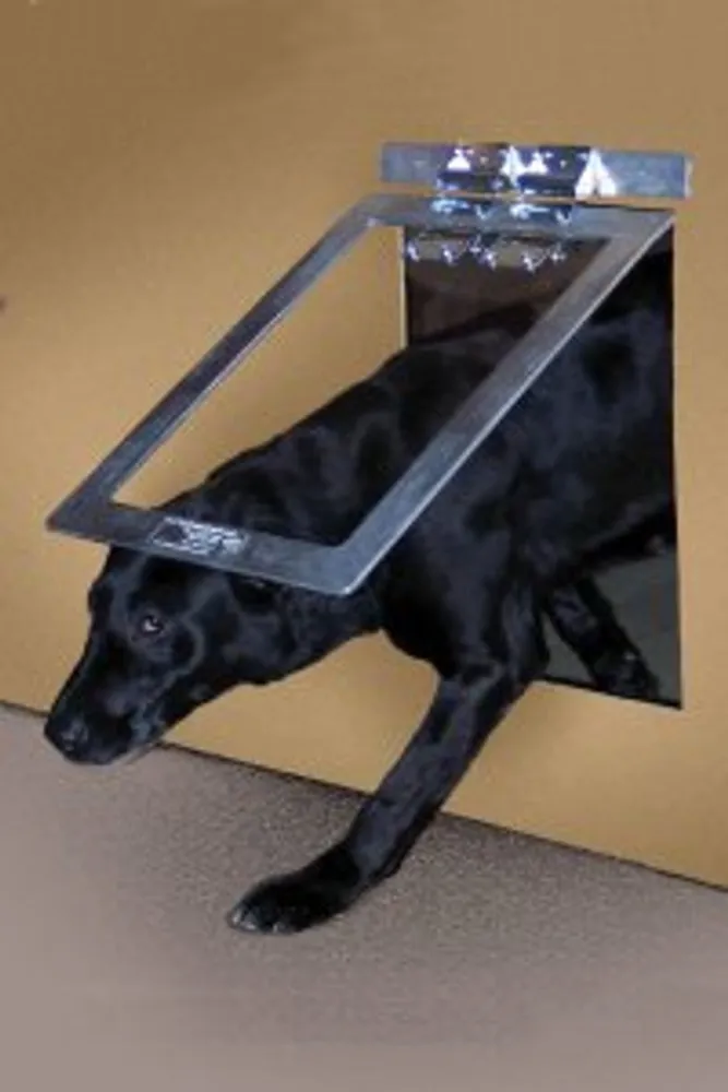 Gun Dog Kennel Door