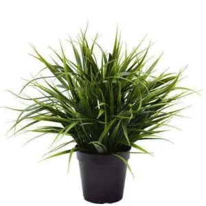 Potted Artificial Grass Plant Dense Green Grass UV Resistant 38cm